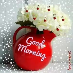 Meet your Posher, Emmy